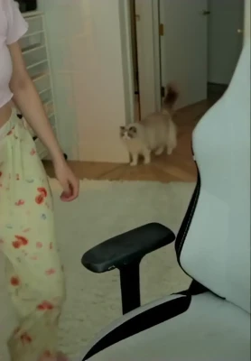 pokimane - After the gym, the neighbor sucked Vibora's sweaty feet and pussy.
