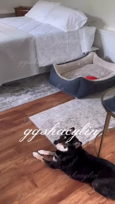 ggshacylin - Wanna take a walk with me?🤪