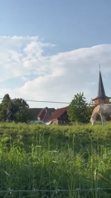 ilonaaln - Having a good day?