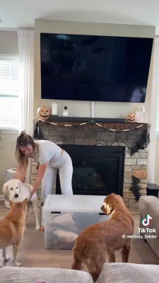 melissa_fakler