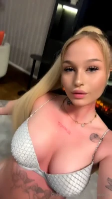 cassie_coconut - Are foxes considered cats or dogs?