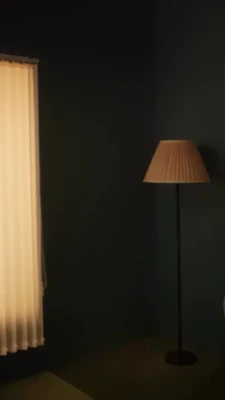 mironovanastasiia - Sheer black dress