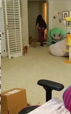 emiru - I have all this ass & I need to learn how to twerk 😄
