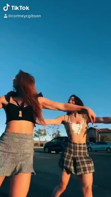 cortneygibson - I am so sorry the video has no sound , I had no ideea ! The video