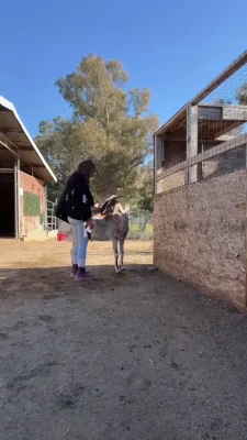 piper_rockelle - Load after load dumped into your tight little ass