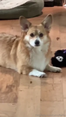 curvyllama - Just a content dump rq
