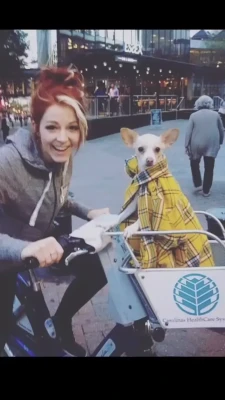 lindseystirling - Me pongo tan puta cuando me doy por el culo 🍑 ve como me abro y me