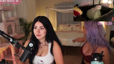 palmbeee - What is everyone doing tonight