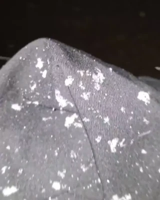 loserfruit - here s a lil   action