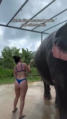 hotblockchain - Guardate che bella cameriera che sono😜 una gran porcona hihi😈
