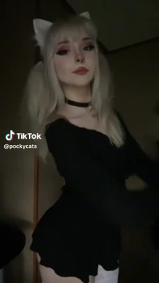 megturney - cat twerk🍑
