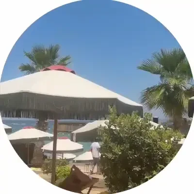 whylollycry
