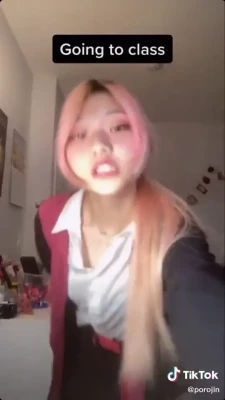 porojin