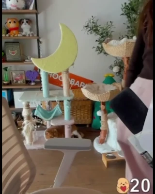 xchocobars - Balcony adventures!