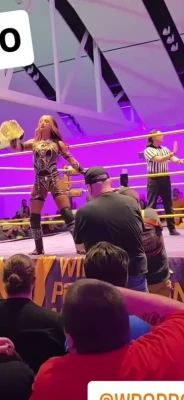 sashabankswwe - Christmas Dinner for Kitty and Lefty: Chicken 'N' Noodles