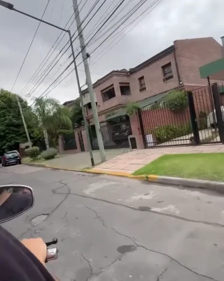 carygutin