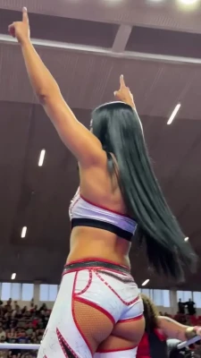 indiwrestling - The perfect amount of ass