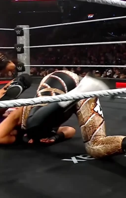 wwe_bayley - To my darling fans 💕 I’m sorry I haven’t been posting as often