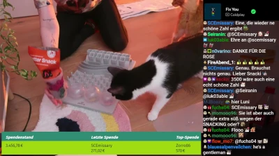 basostream - Would anyone be interested in paying for my next pedicure in exchange