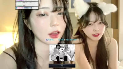 2xung2 - meow