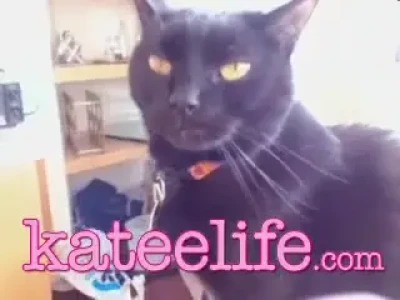 kateelife - Bringing back this gem in the spirit of May the 4th.