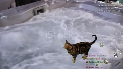 catgirl - 臀控跟足控的寶寶❤️千萬不能錯過😈