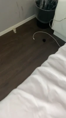 nofacefreak_18 - I sent out a buttplug bundle of 7 different girls with buttplugs/toys