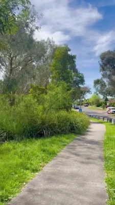 foreignamira - Lovely day, shame about the humidity 🔆 part 1