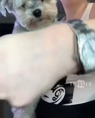 beckycrocker - Give it to me baby 🤤